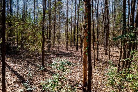 1462 Mole Road Winnsboro TX 75494