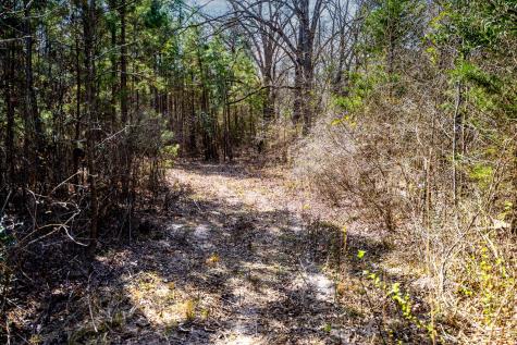 1462 Mole Road Winnsboro TX 75494