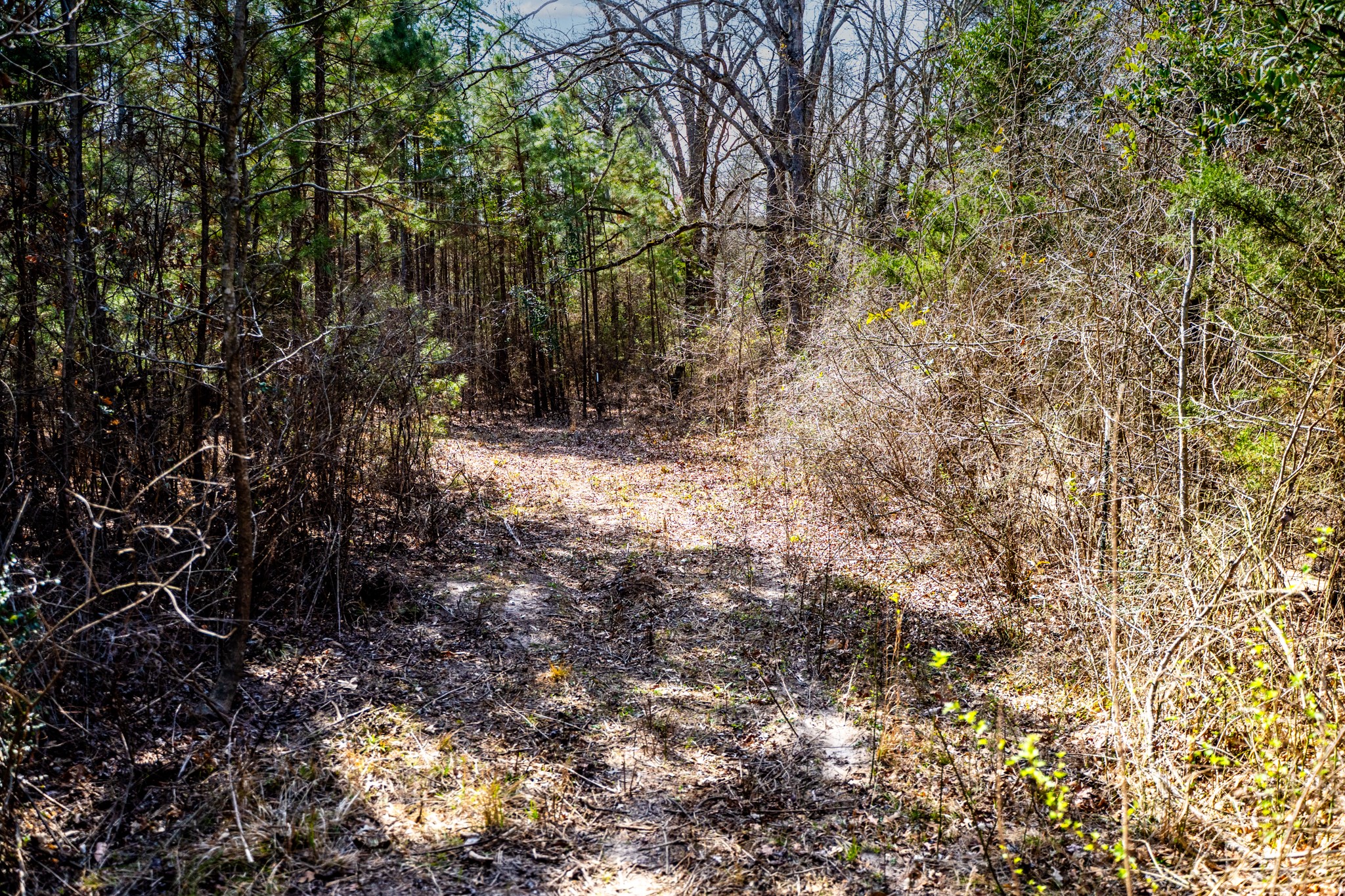 1462 Mole Road Winnsboro TX 75494