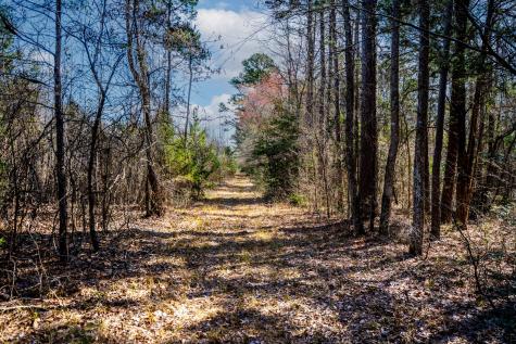 1462 Mole Road Winnsboro TX 75494