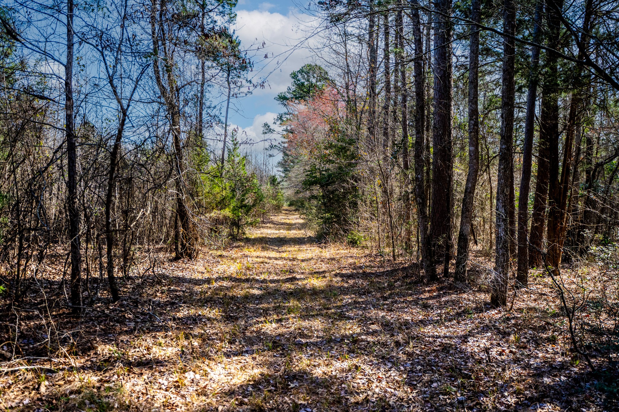 1462 Mole Road Winnsboro TX 75494