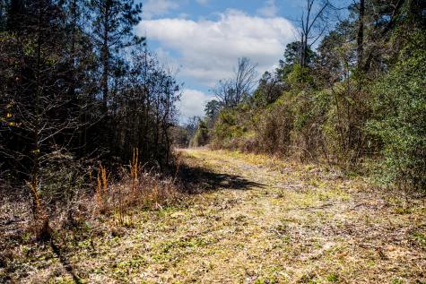 1462 Mole Road Winnsboro TX 75494