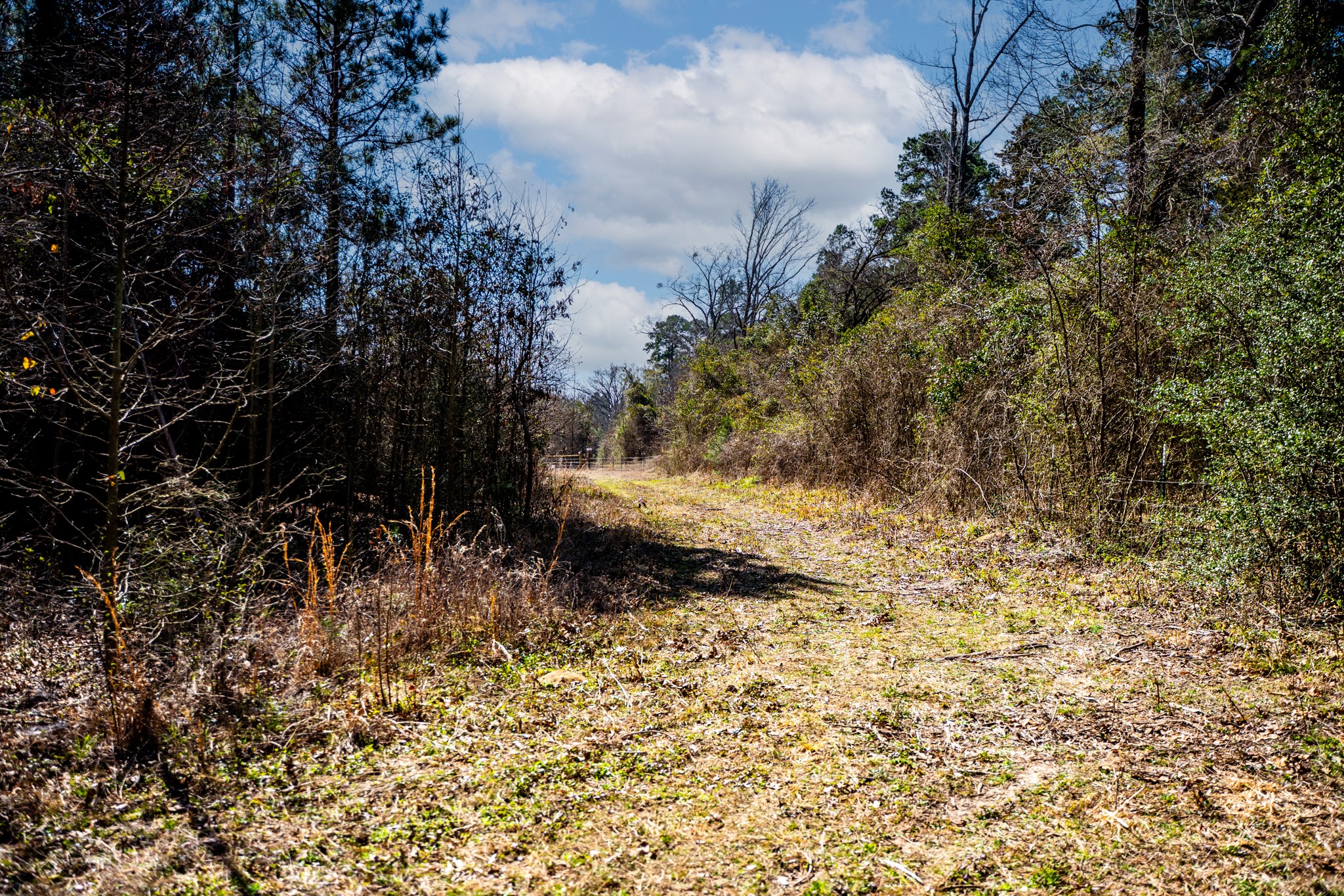 1462 Mole Road Winnsboro TX 75494