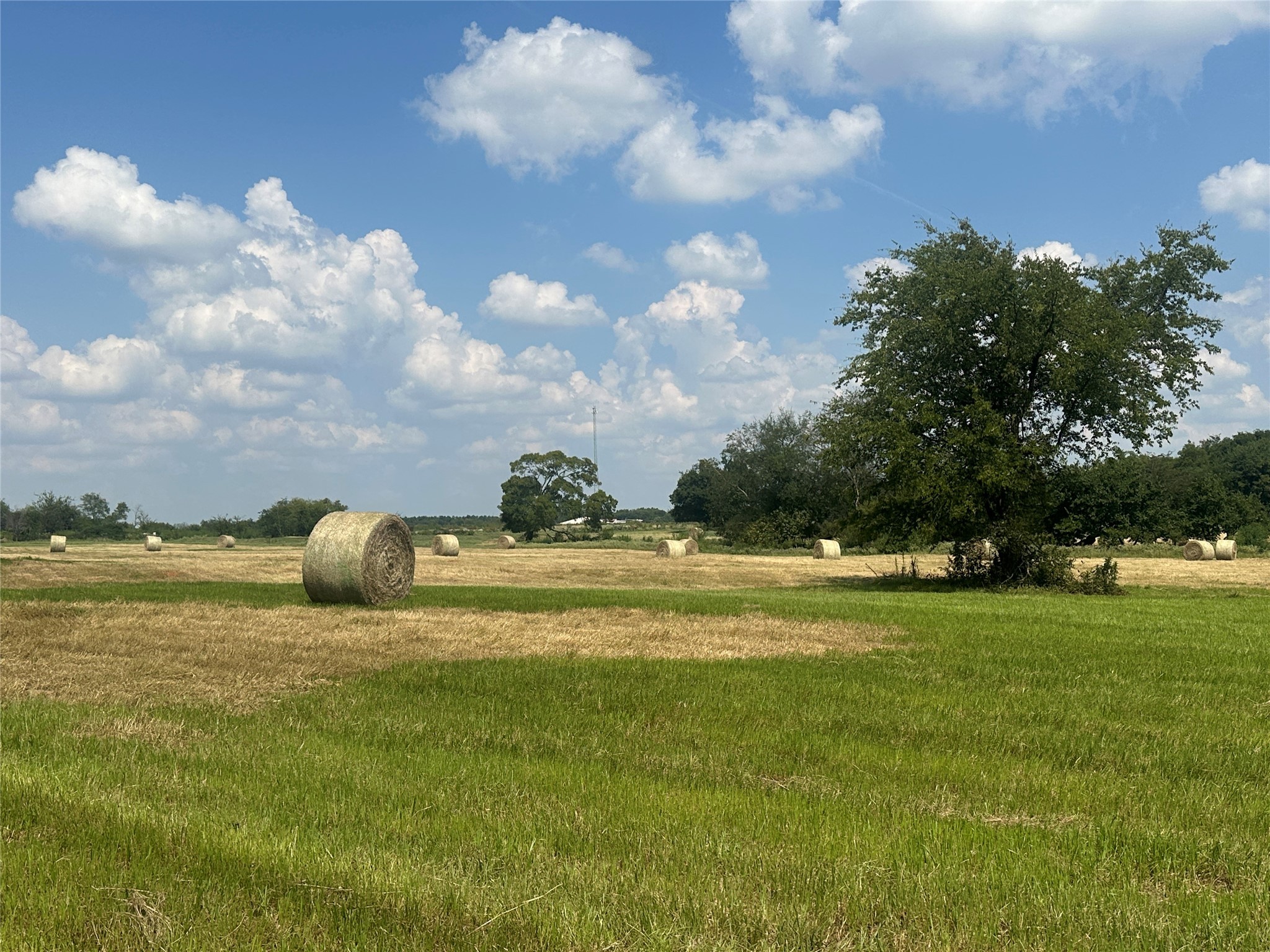 0000 County Road 2321 Sulphur Springs TX 75482