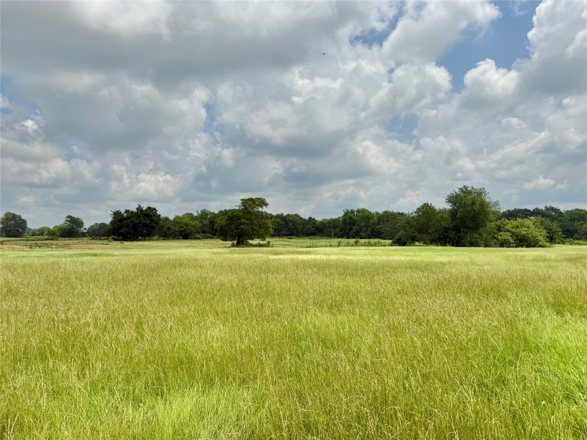 0000 County Road 2321 Sulphur Springs TX 75482