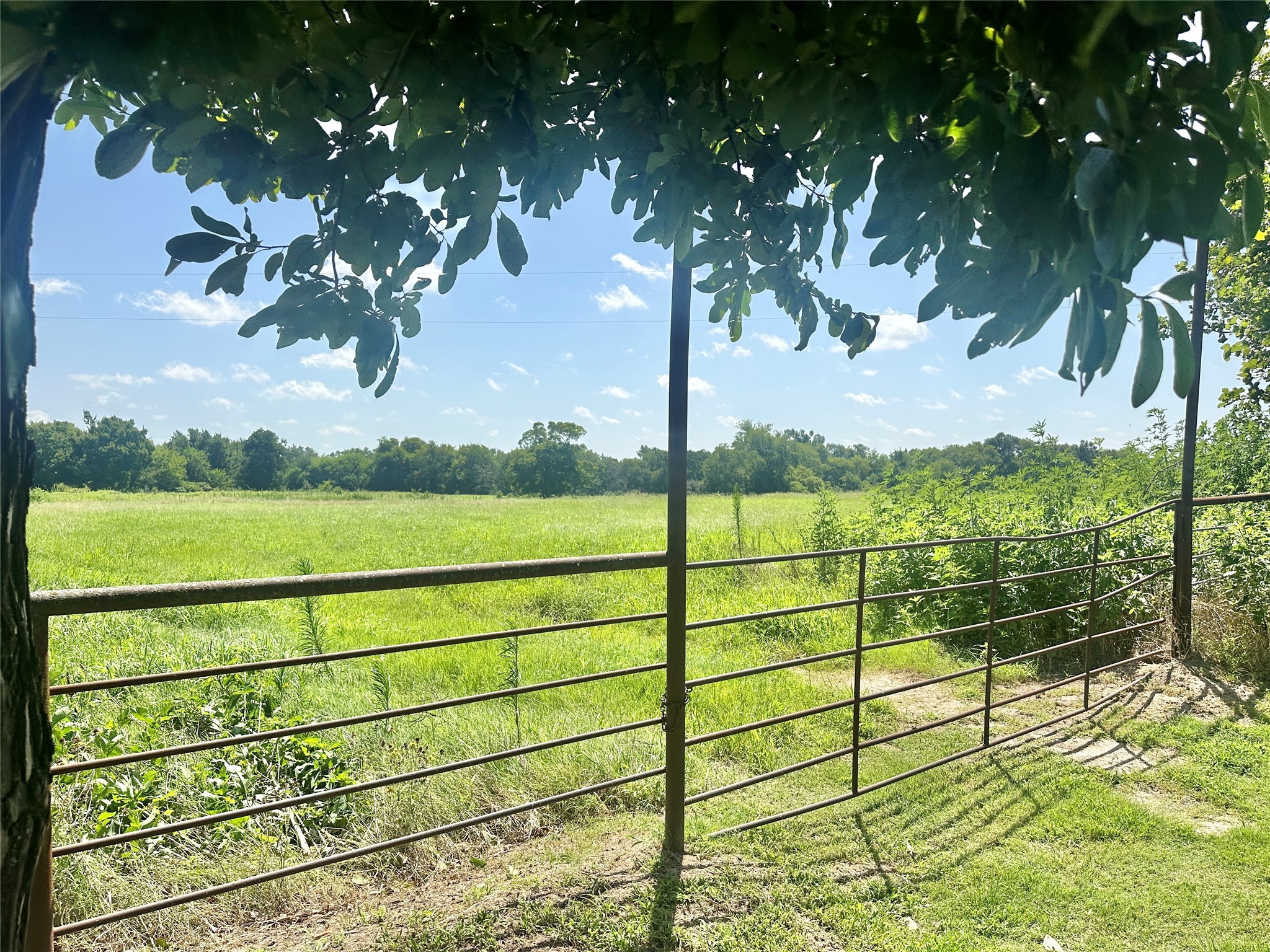 0000 County Road 2321 Sulphur Springs TX 75482