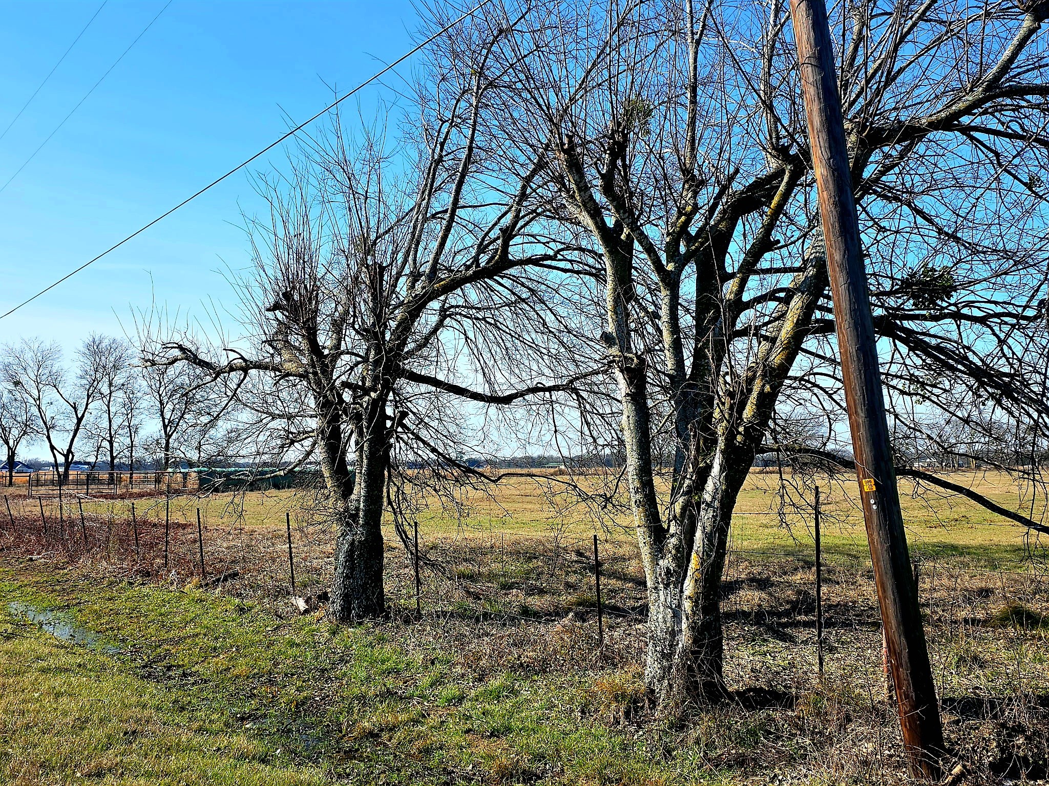 19770 Fm 47 Wills Point TX 75169