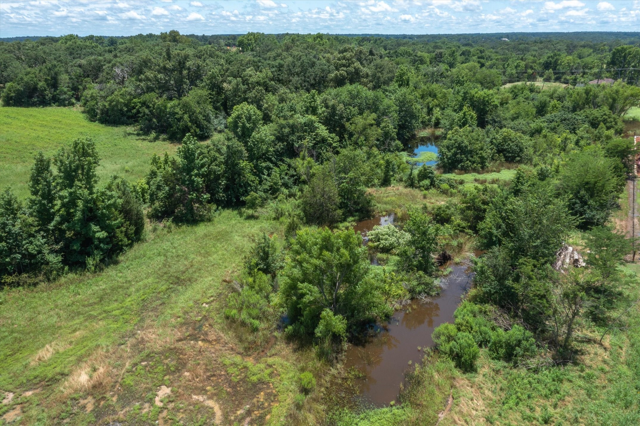 41.85 Acres State Highway 64 Canton TX 75103