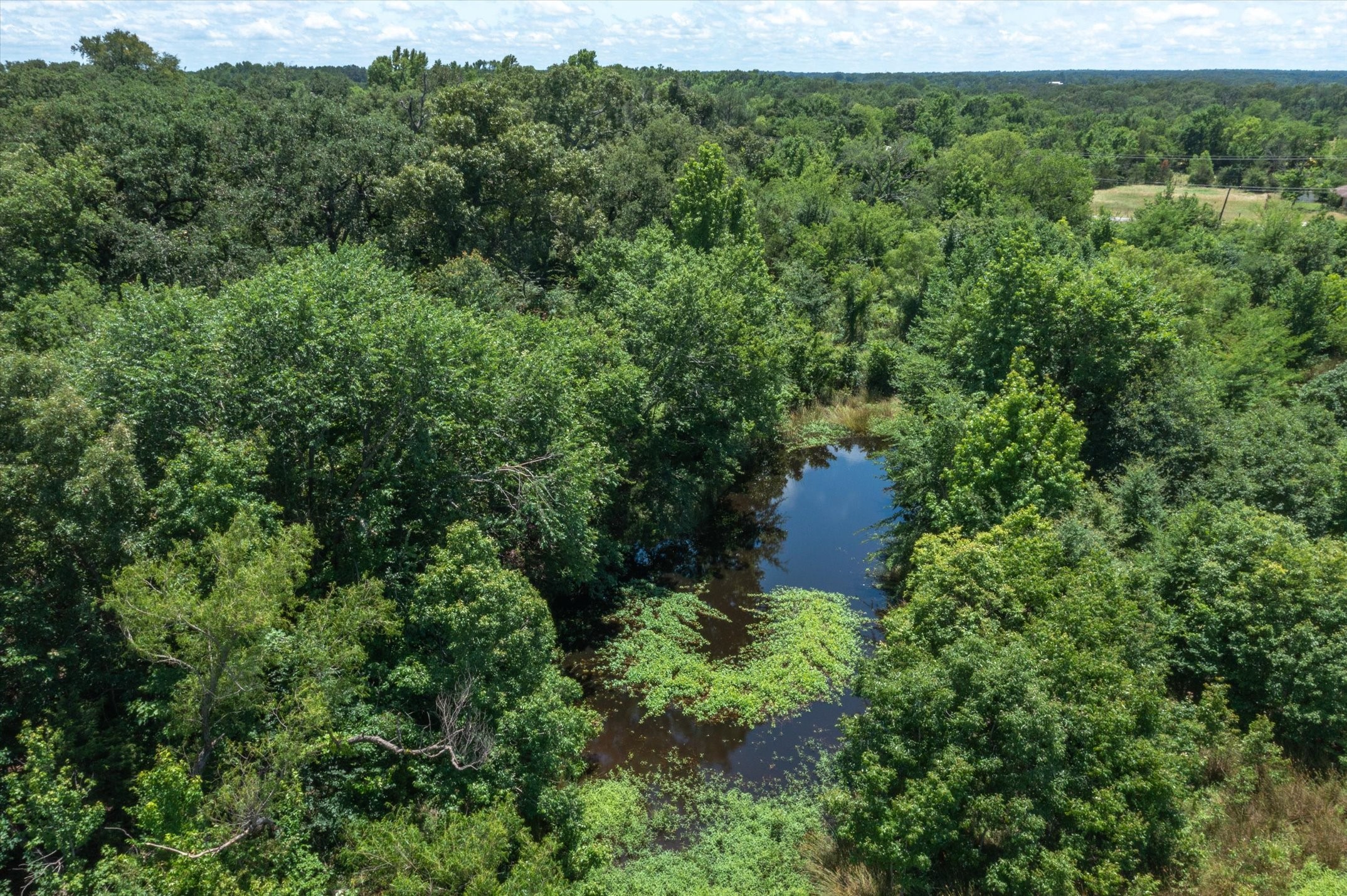 41.85 Acres State Highway 64 Canton TX 75103