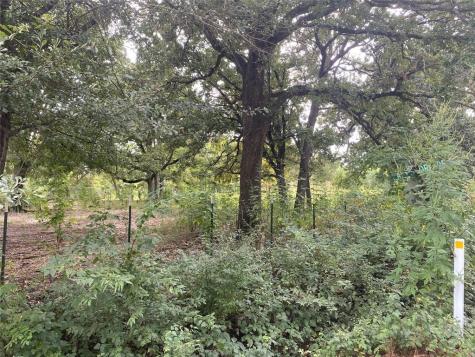 Tbd Lot 4 And 5 Goldwater Kemp TX 75143