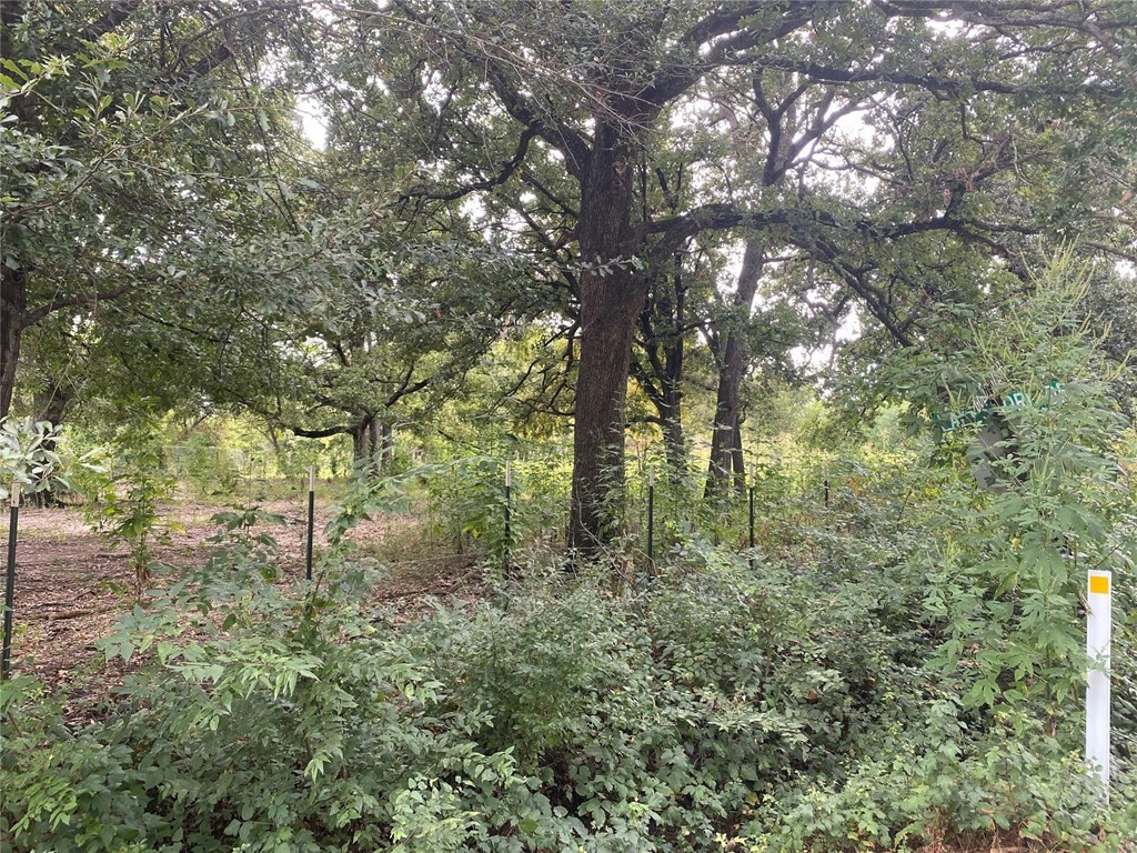 Tbd Lot 4 And 5 Goldwater Kemp TX 75143