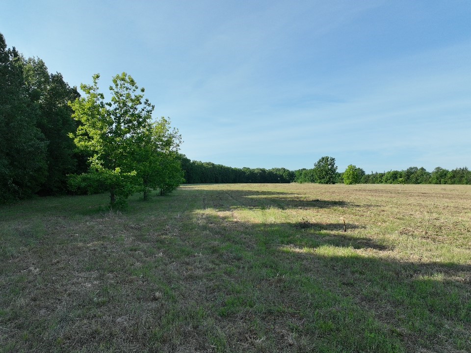 7453 Farm Road 412 Clarksville TX 75426