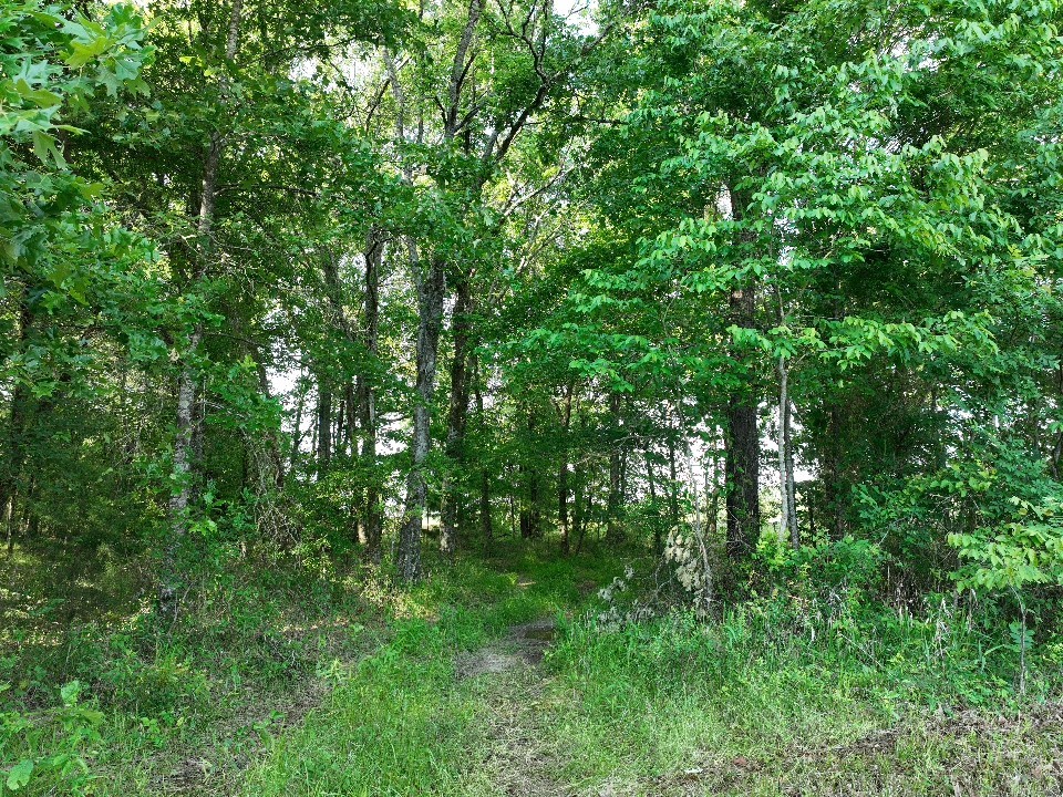 7453 Farm Road 412 Clarksville TX 75426
