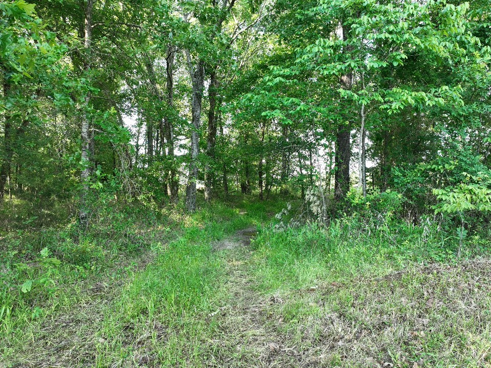 7453 Farm Road 412 Clarksville TX 75426