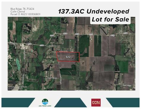 TBD 137.3AC County Road 832 Blue Ridge TX 75424