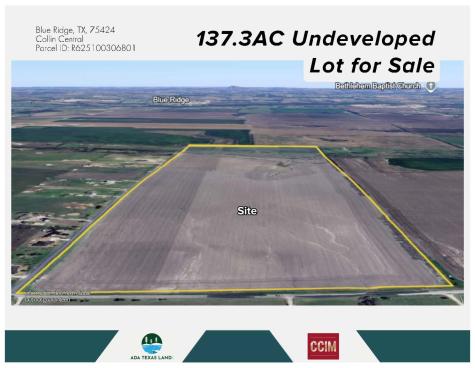 TBD 137.3AC County Road 832 Blue Ridge TX 75424