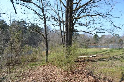 Lot 128, 144 County Road 2123 Quitman TX 75783
