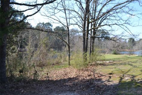 Lot 128, 144 County Road 2123 Quitman TX 75783