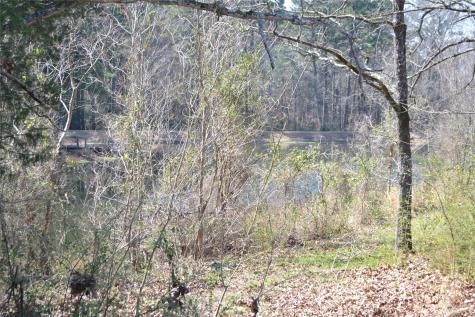 Lot 128, 144 County Road 2123 Quitman TX 75783