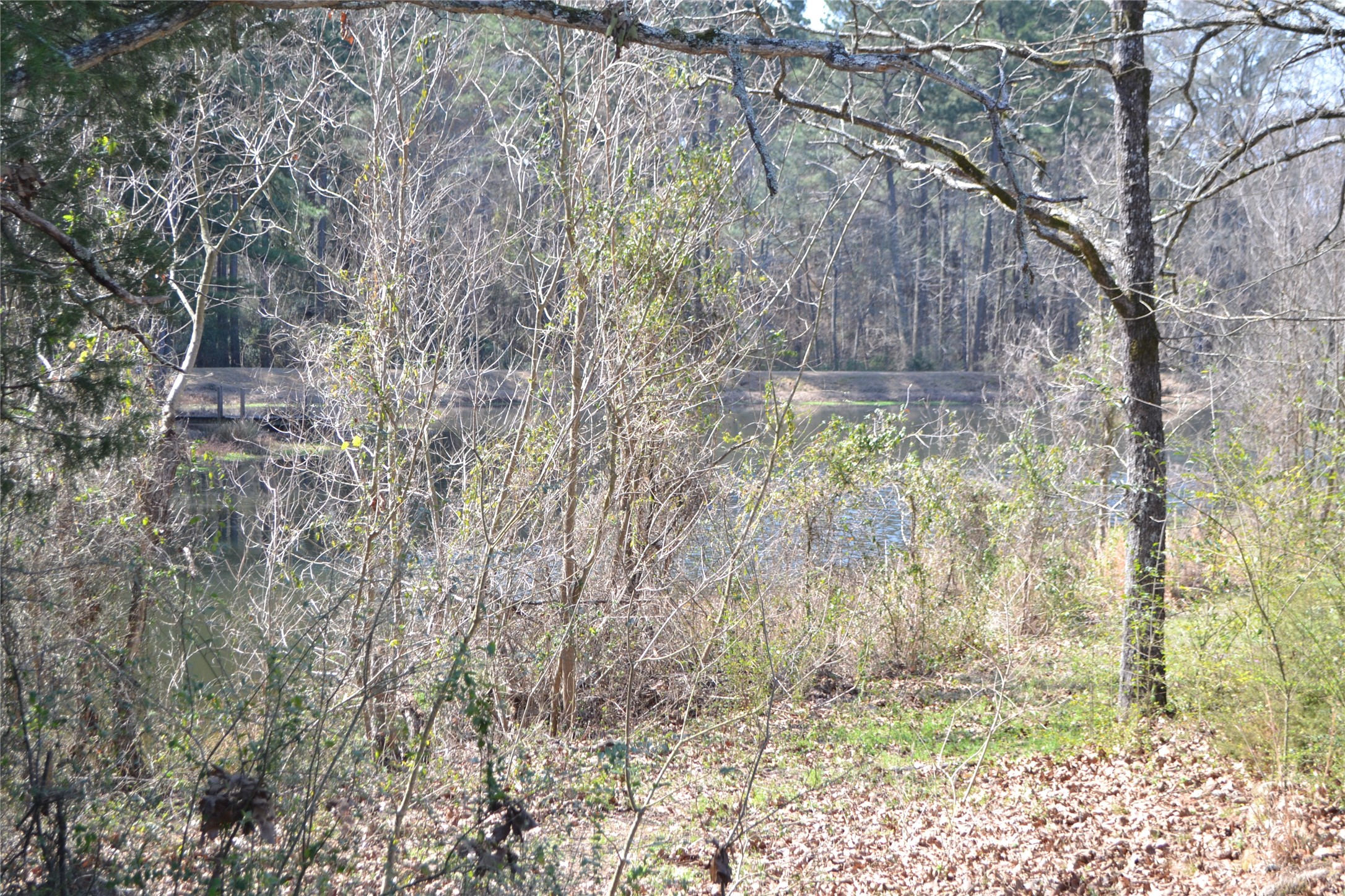 Lot 128, 144 County Road 2123 Quitman TX 75783
