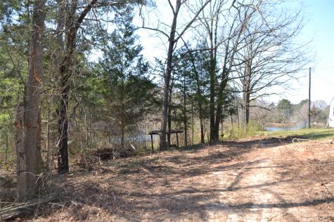 Lot 128, 144 County Road 2123 Quitman TX 75783