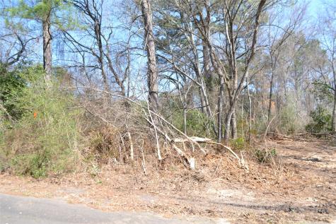 Lot 128, 144 County Road 2123 Quitman TX 75783