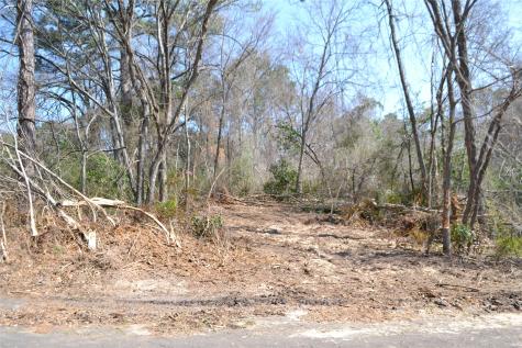 Lot 128, 144 County Road 2123 Quitman TX 75783
