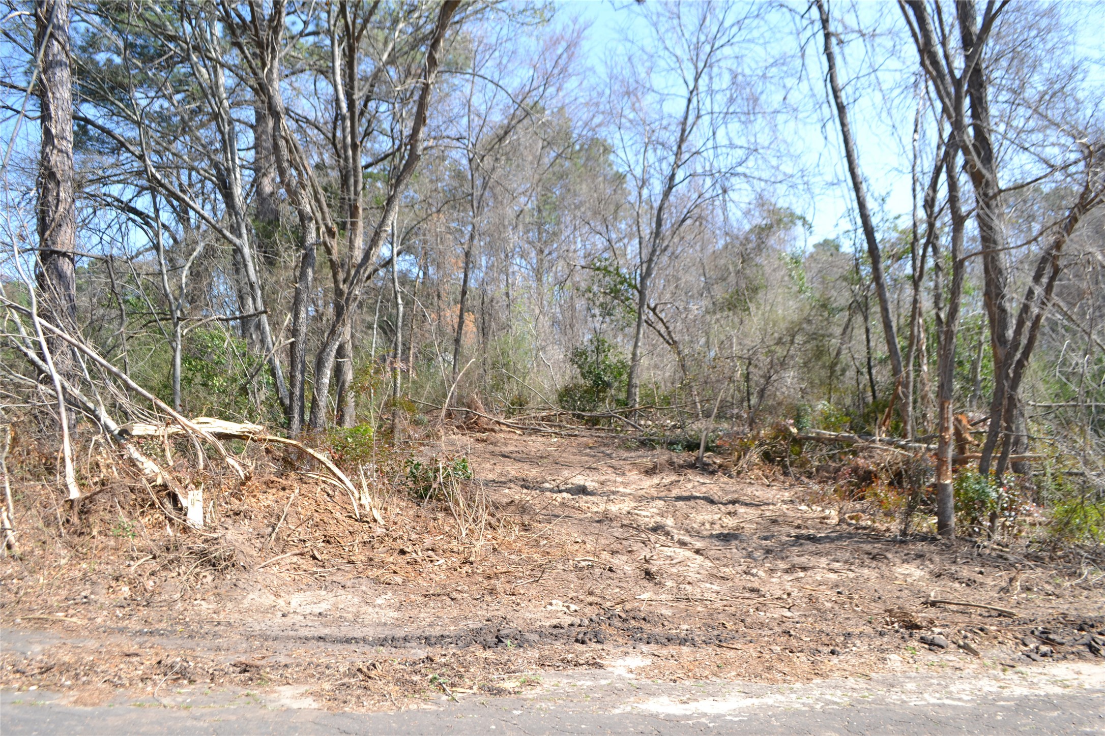 Lot 128, 144 County Road 2123 Quitman TX 75783