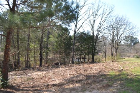 Lot 128, 144 County Road 2123 Quitman TX 75783