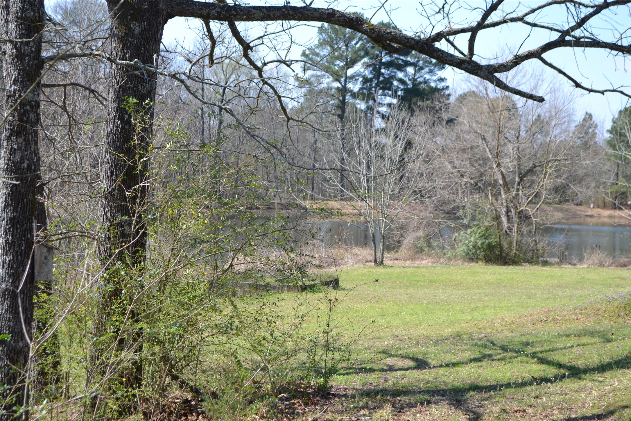 Lot 128, 144 County Road 2123 Quitman TX 75783