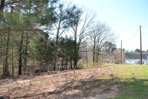 Lot 128, 144 County Road 2123 Quitman TX 75783