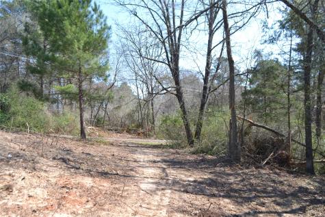 Lot 128, 144 County Road 2123 Quitman TX 75783