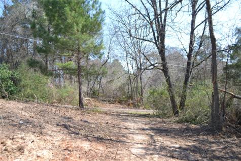 Lot 128, 144 County Road 2123 Quitman TX 75783