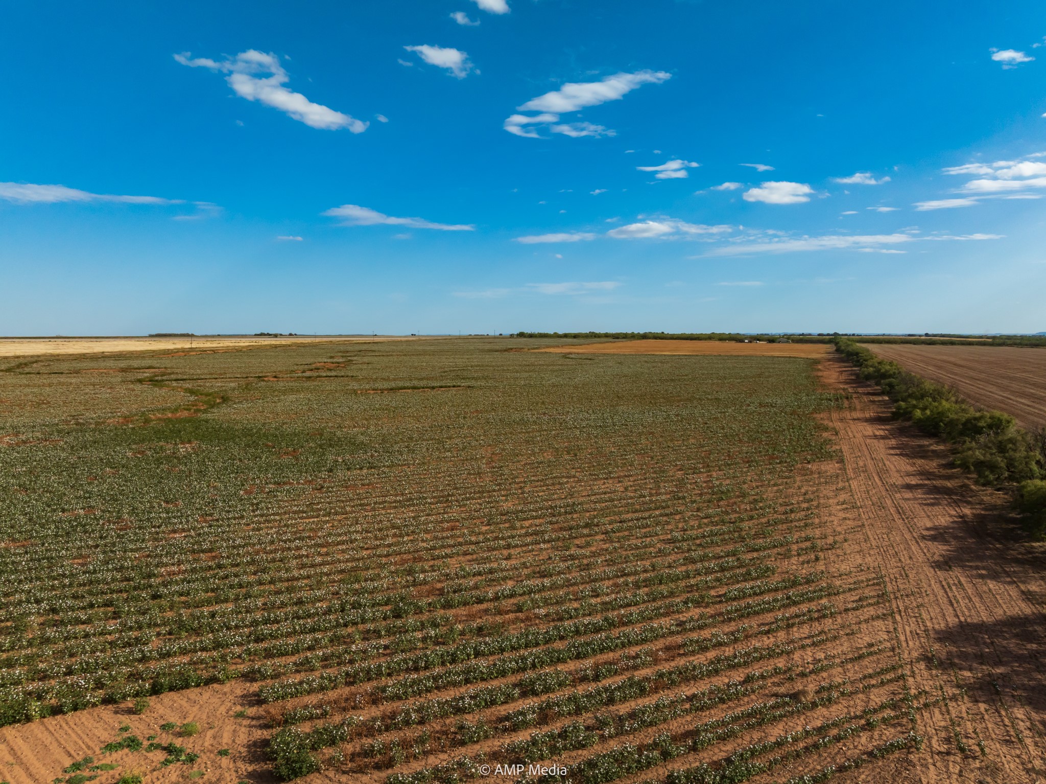 000 Cr 432 Merkel TX 79536