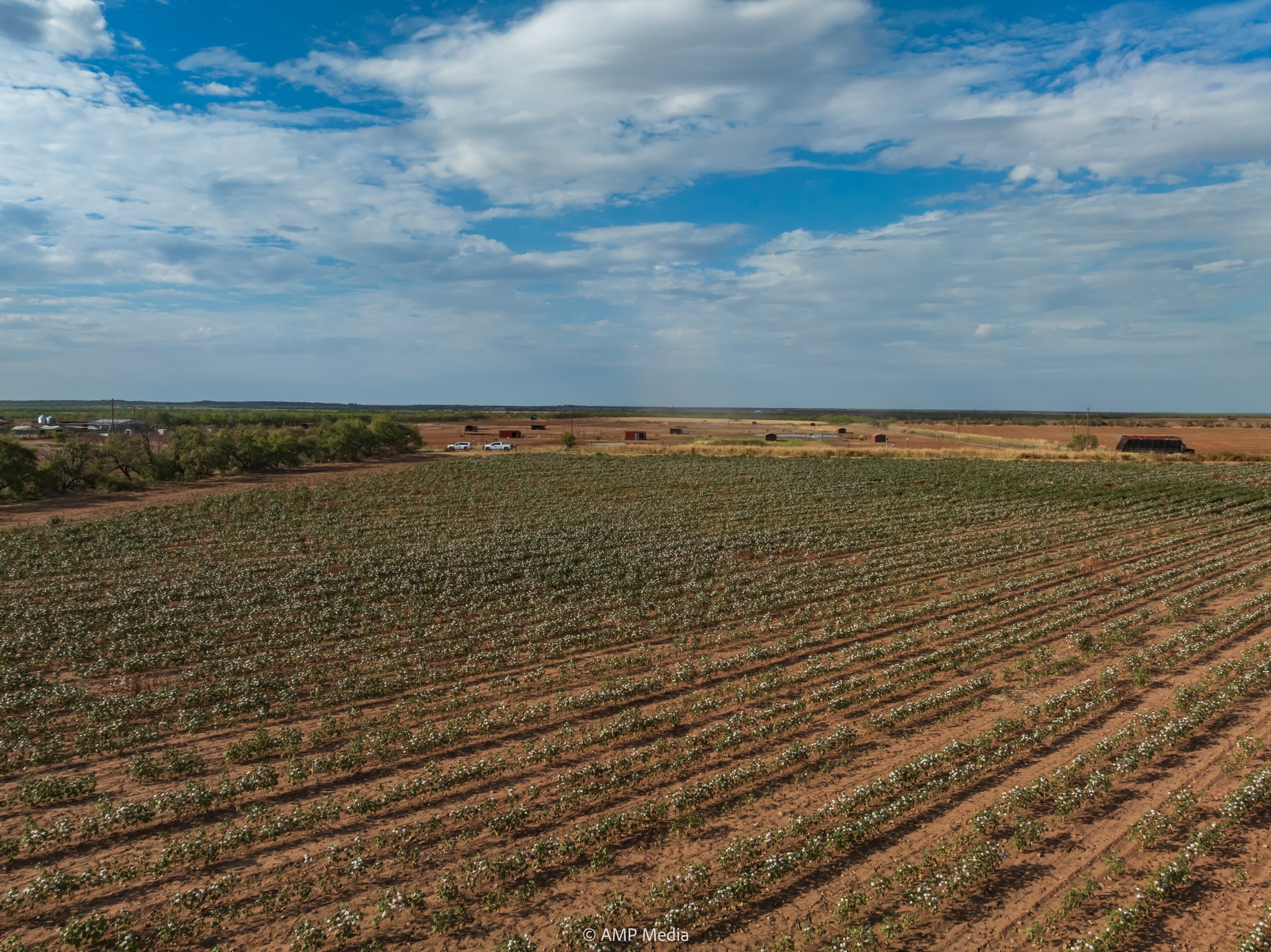 000 Cr 432 Merkel TX 79536