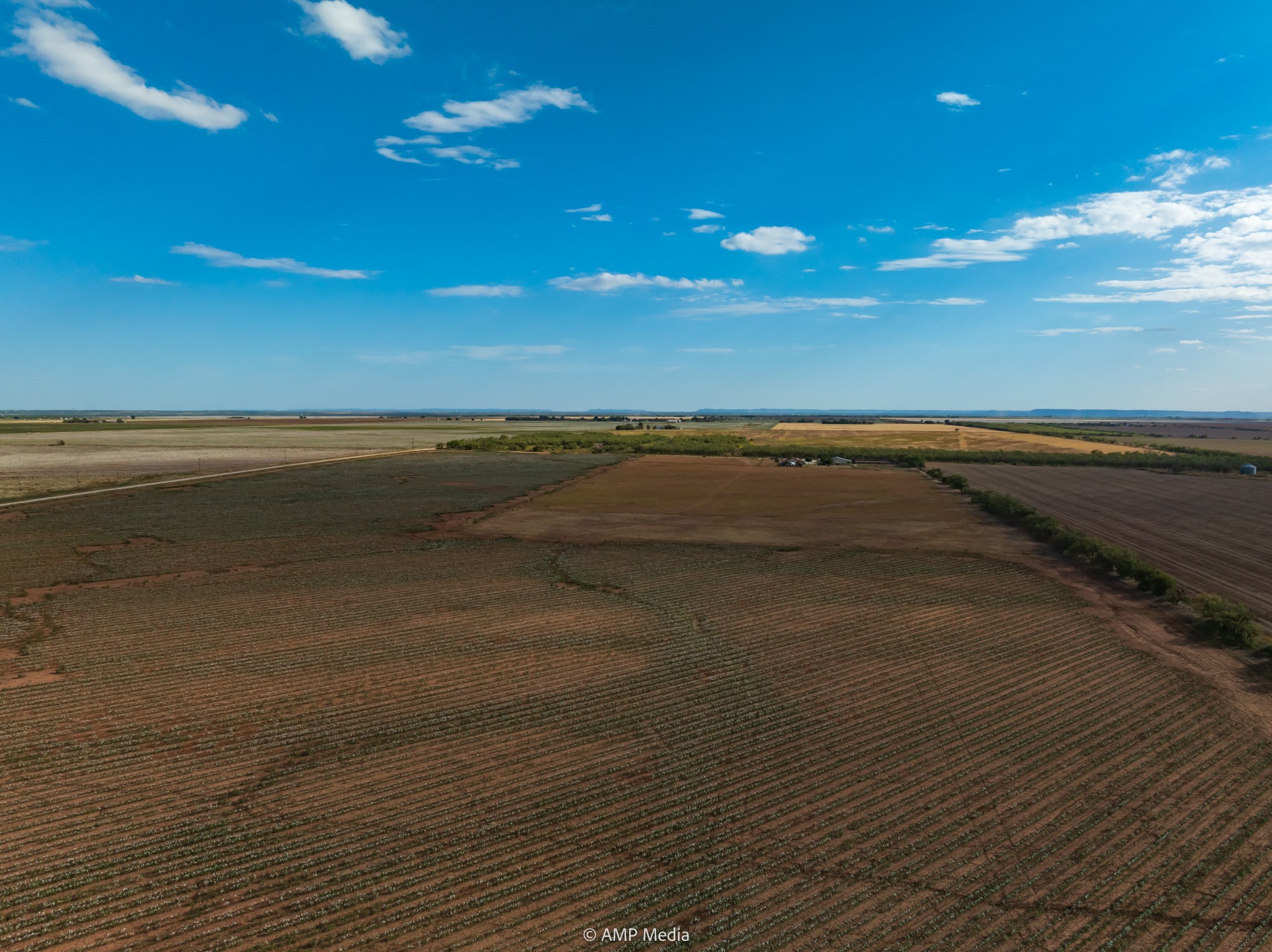 000 Cr 432 Merkel TX 79536
