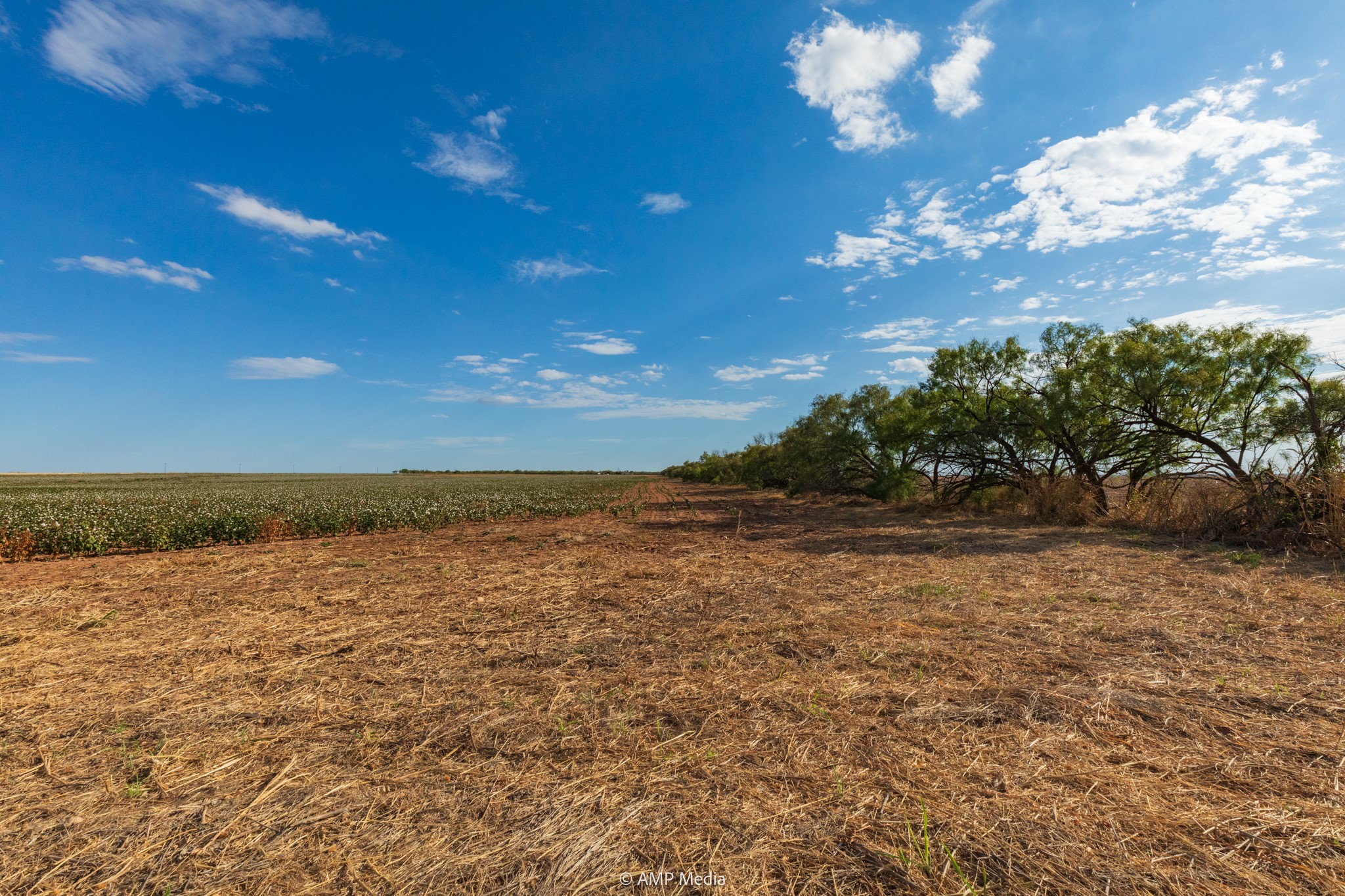 000 Cr 432 Merkel TX 79536