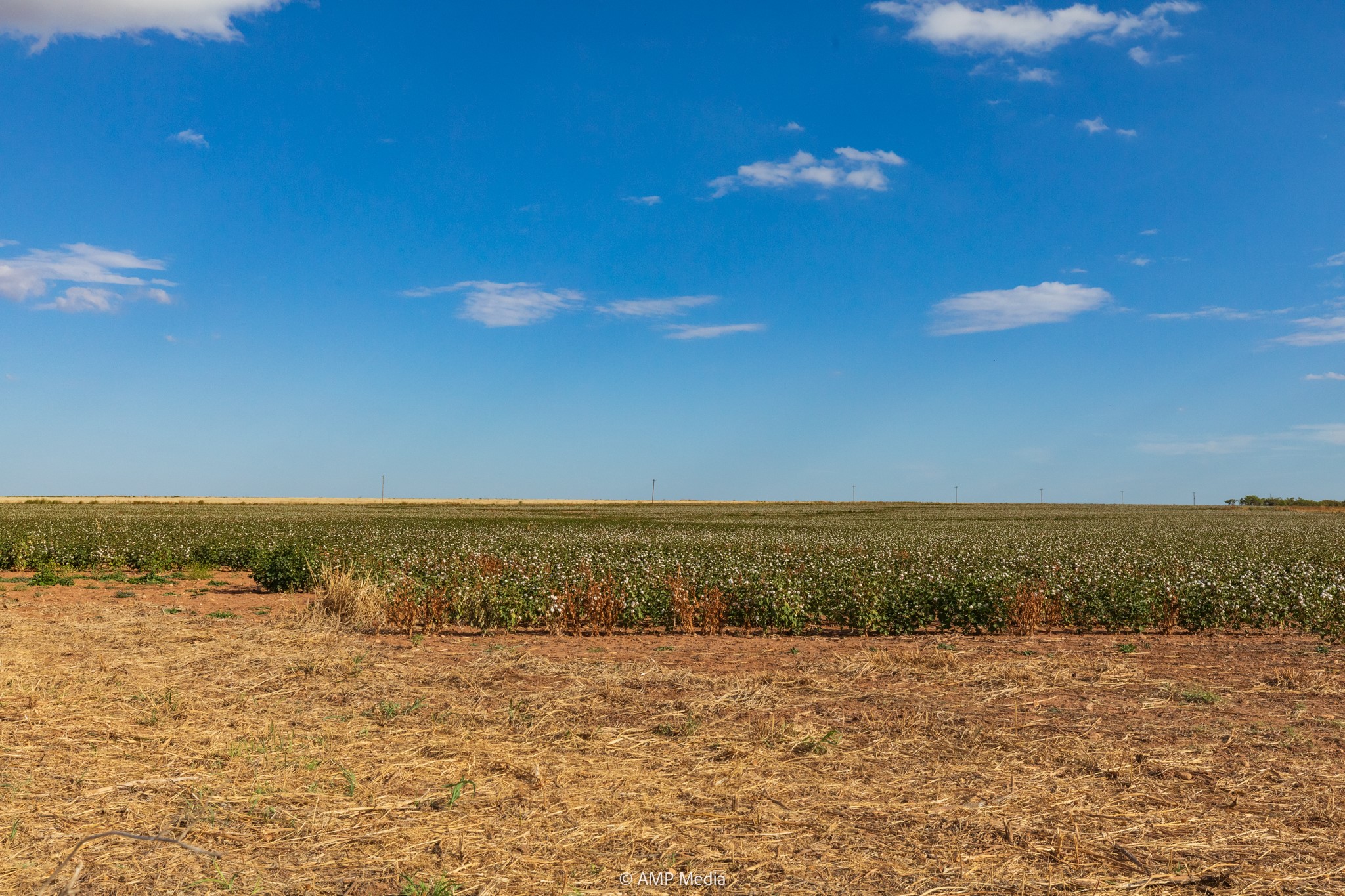 000 Cr 432 Merkel TX 79536