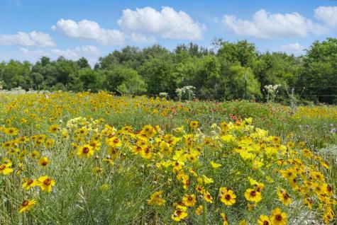 1613 County Road 440 De Leon TX 76444