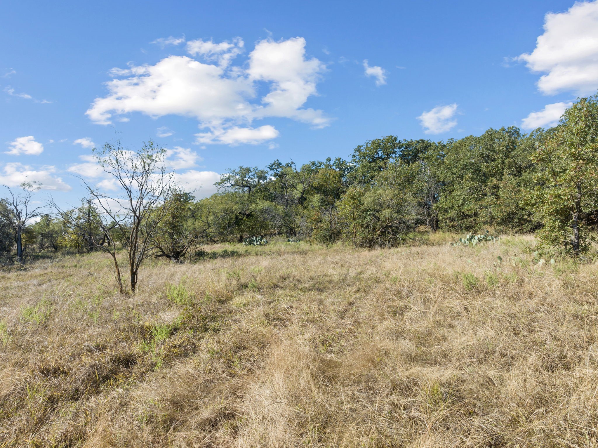 847 Barry Road Henrietta TX 76458