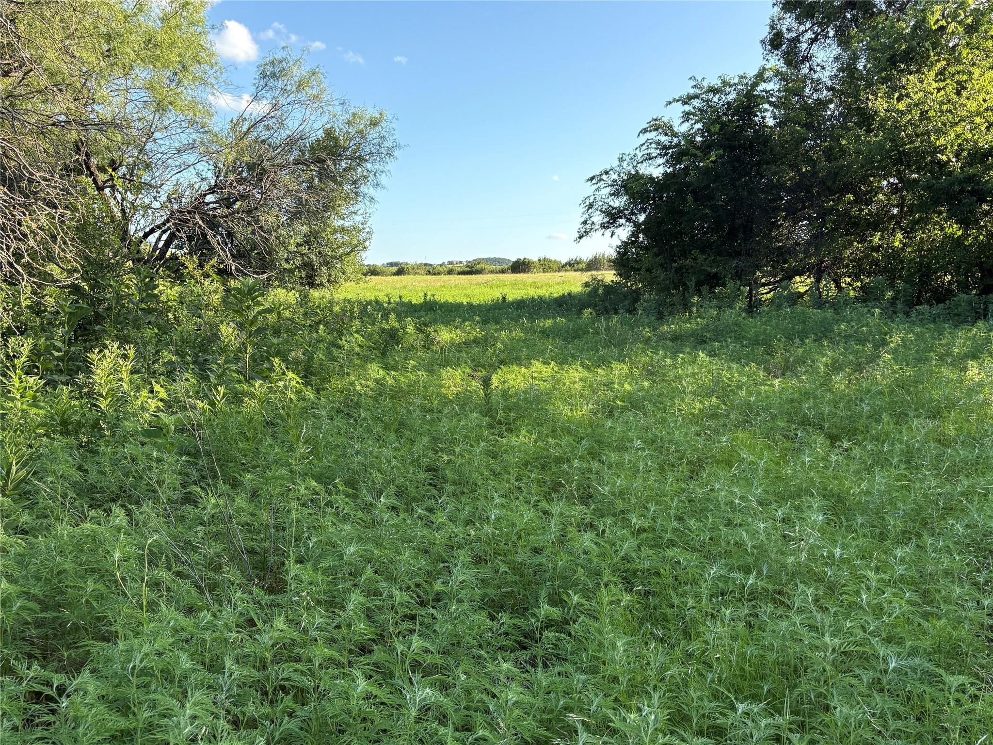2652 Fm 216 Iredell TX 76649