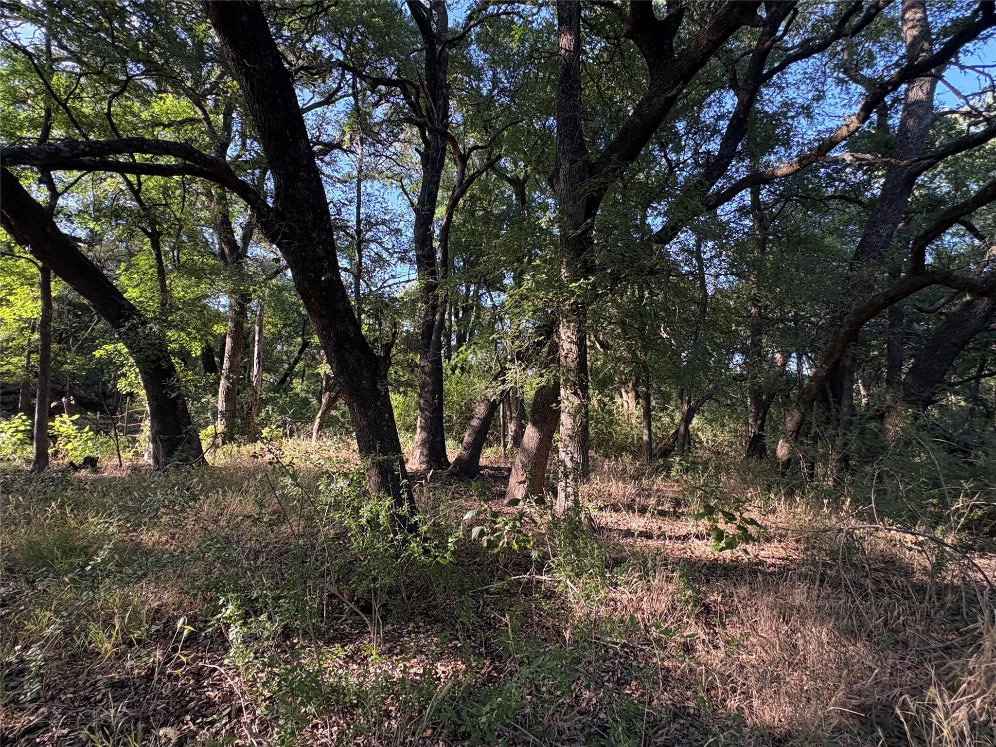 2652 Fm 216 Iredell TX 76649