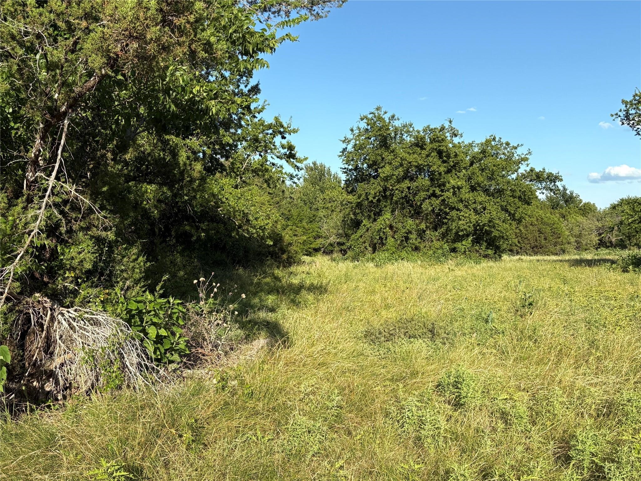 2652 Fm 216 Iredell TX 76649