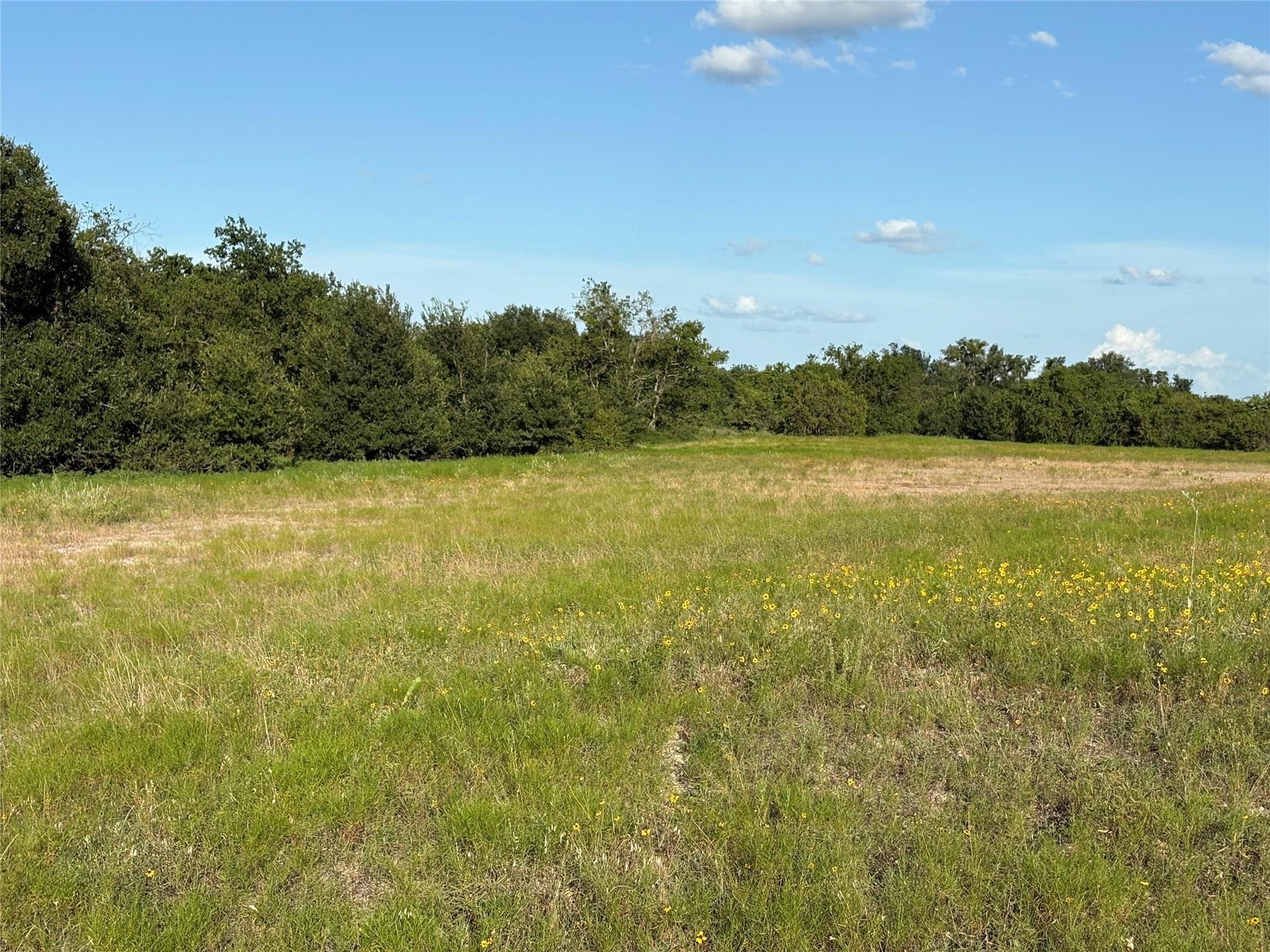 2652 Fm 216 Iredell TX 76649
