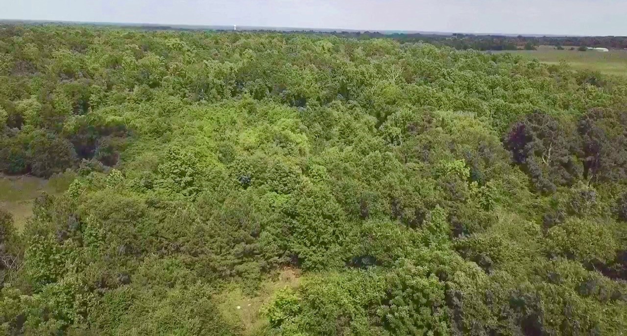 18403 County Road 2195 Whitehouse TX 75791