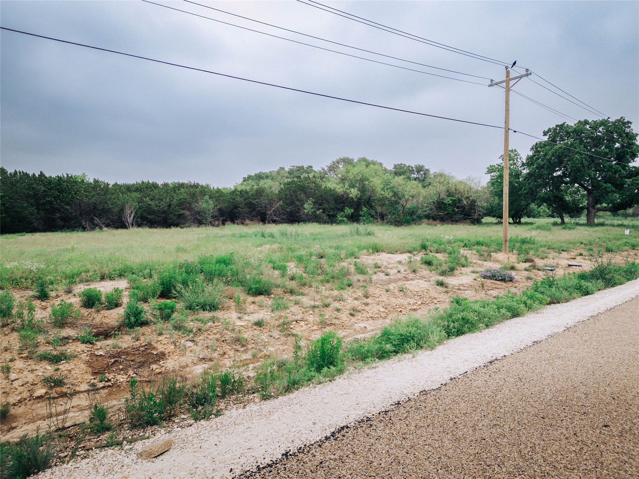 1169 County Road 407 Nemo TX 76070