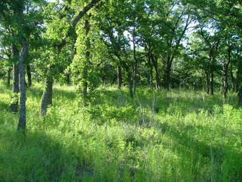 Lot 263 Ridgeline Drive Chico TX 76431