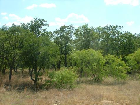 Lot 263 Ridgeline Drive Chico TX 76431