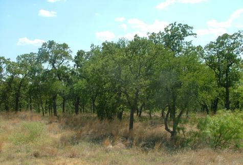 Lot 263 Ridgeline Drive Chico TX 76431