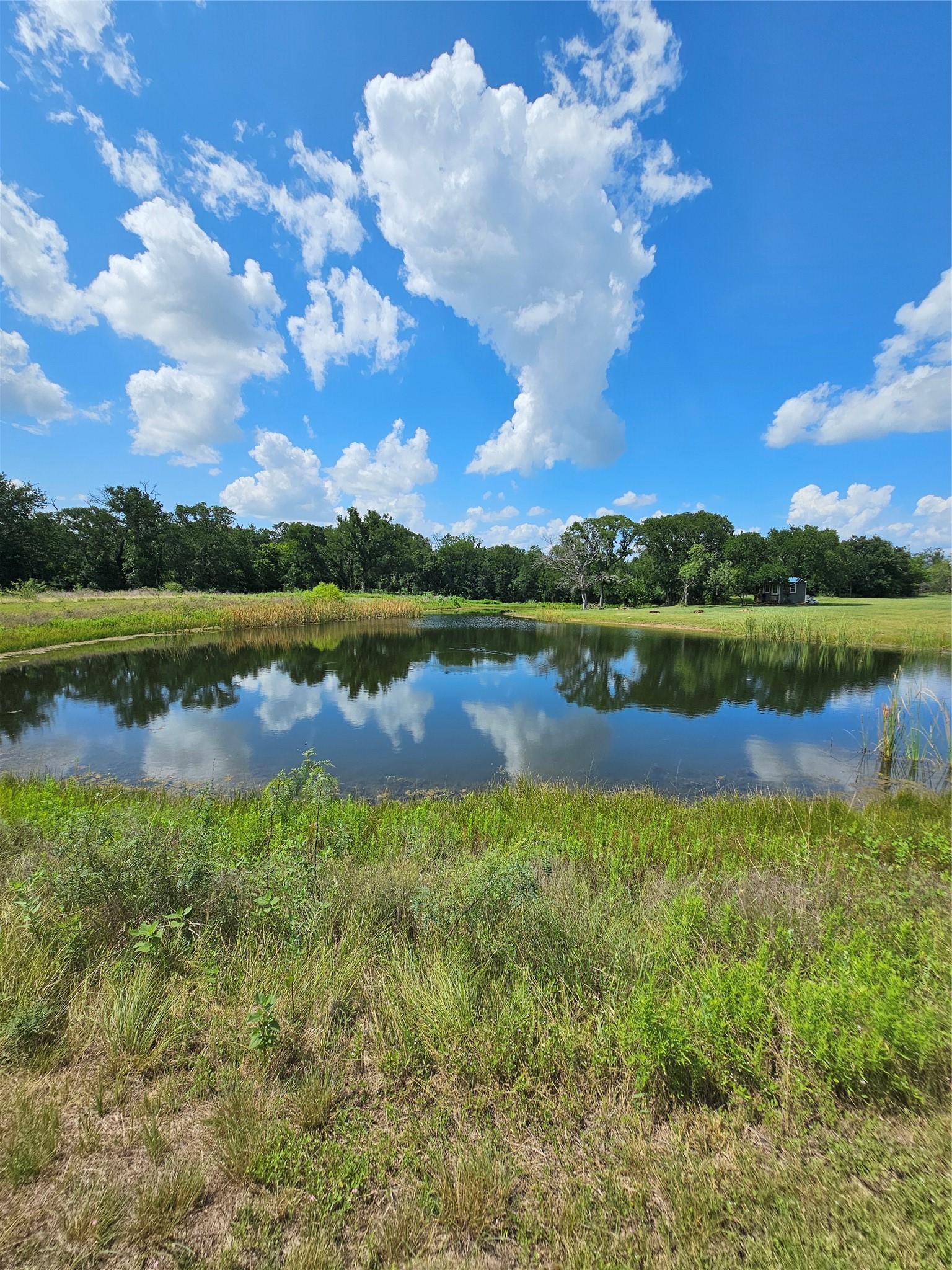 101 Pr 240 Whitney TX 76692